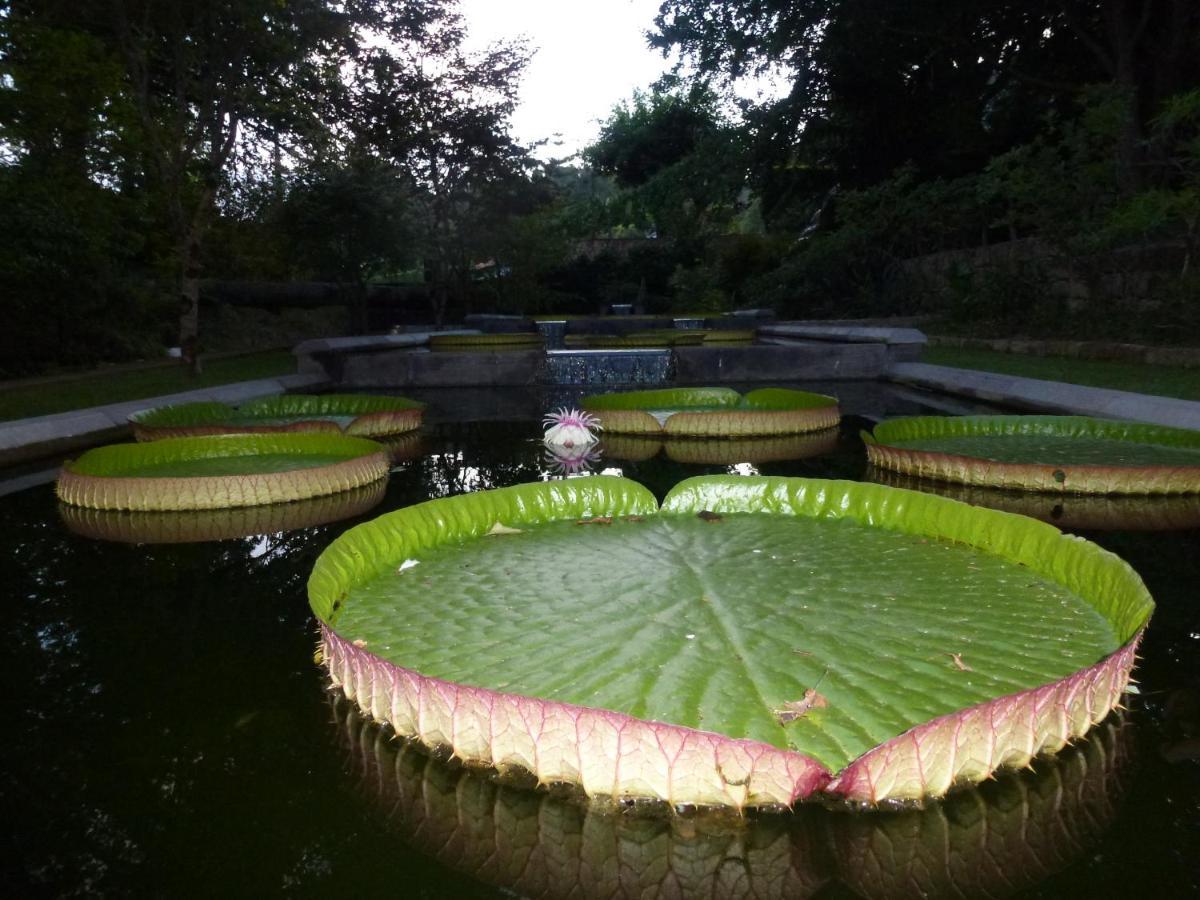 Villa Casa Da Tia Luisa Furnas  Esterno foto